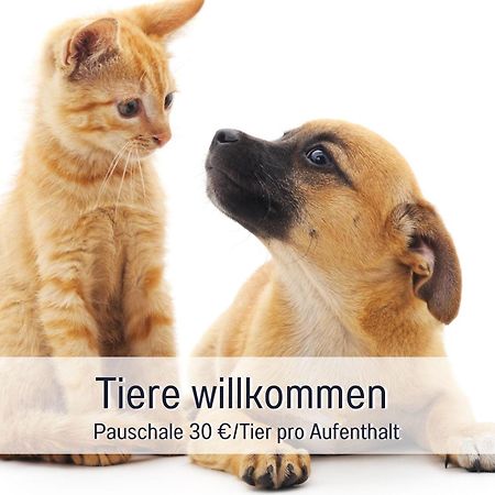 Rosmarin - Kuschelige Fewo - Romantik & Entspannung Im Whirlpool Auf Privater Terrasse, Ruhe & Hund Willkommen - By Ferienwohnenamsee - 于伯林根 外观 照片